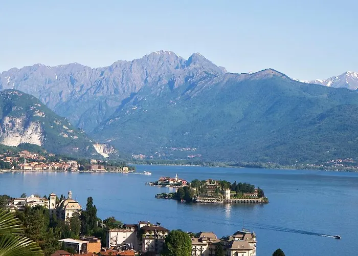 Fiore Rosso ستريزا