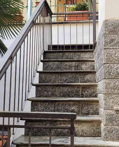 Fiore Rosso ستريزا